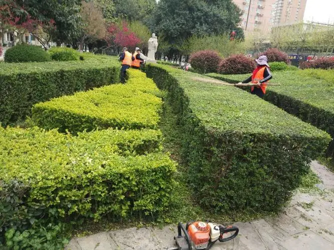 湿地绿化工程施工组织方案范本