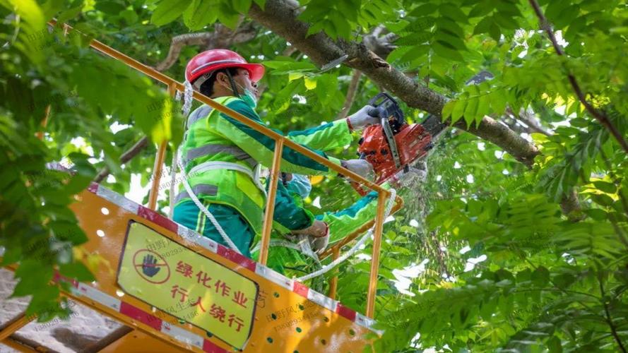 一个好的园林绿化工程师