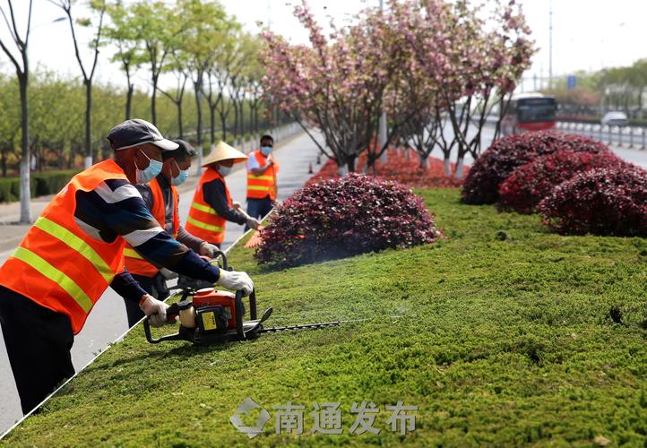 弘宇嘉玺景观绿化工程